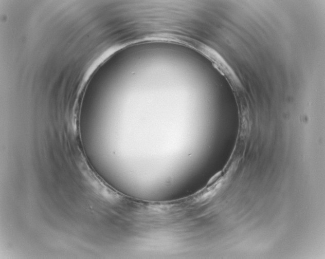 X0000087750908200705211034