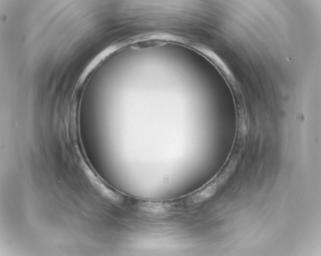 X0000087750910200705211034