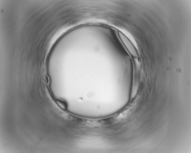 X0000087750911200705211034