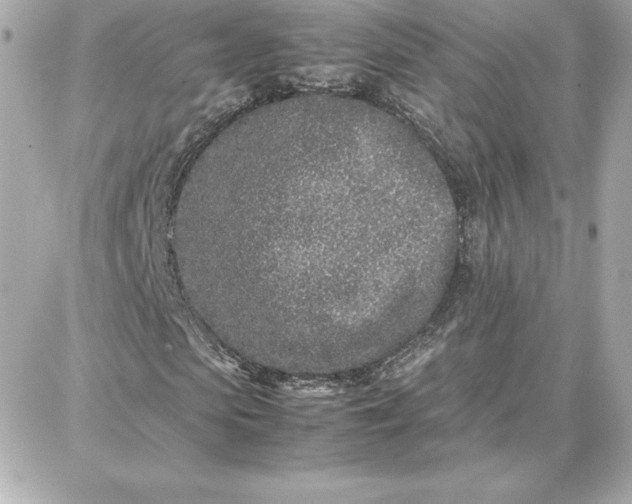 X0000087750913200705211033