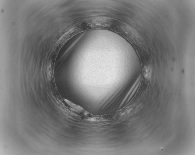 X0000087750915200705211033