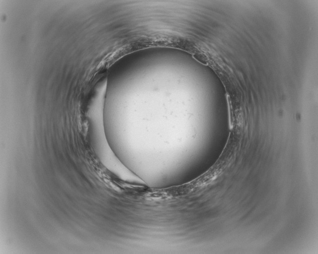 X0000087750916200705211033