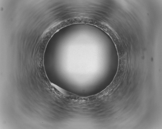 X0000087750919200705211033