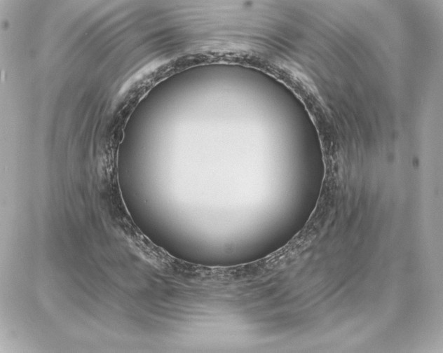 X0000087750920200705211033