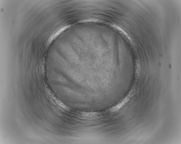 X0000087750921200705211033