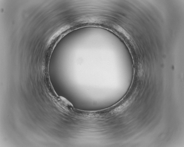 X0000087750922200705211033