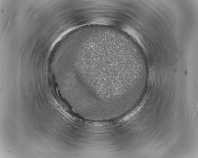 X0000087750923200705211033