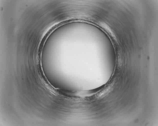 X0000087750924200705211033