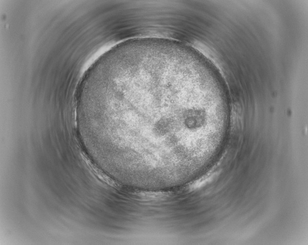 X0000087750925200705211033