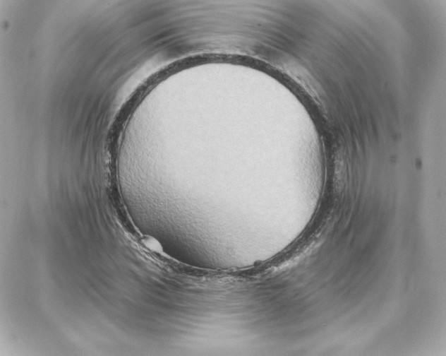 X0000087750926200705211033