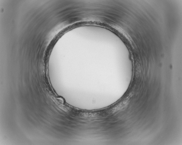 X0000087750927200705211033