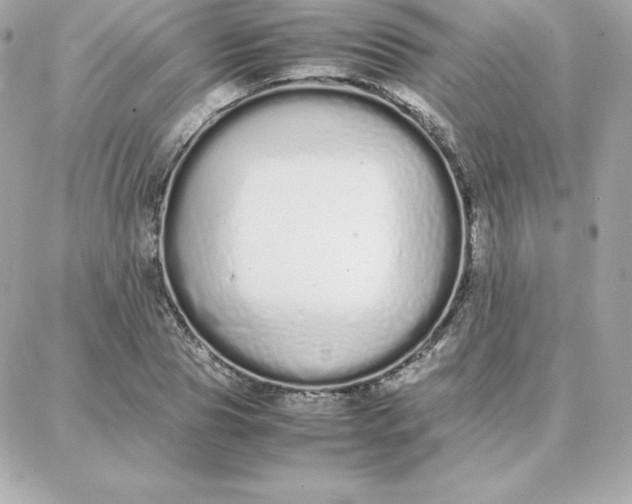 X0000087750929200705211033