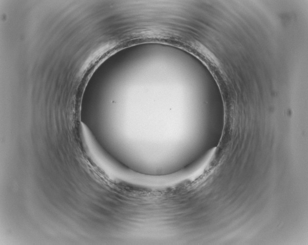 X0000087750930200705211033