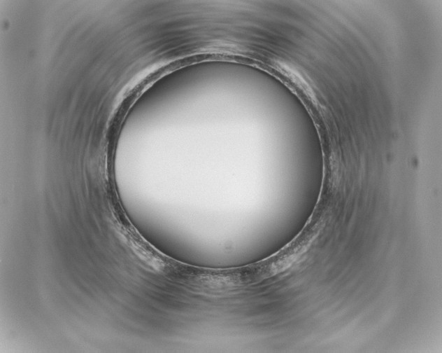 X0000087750931200705211033