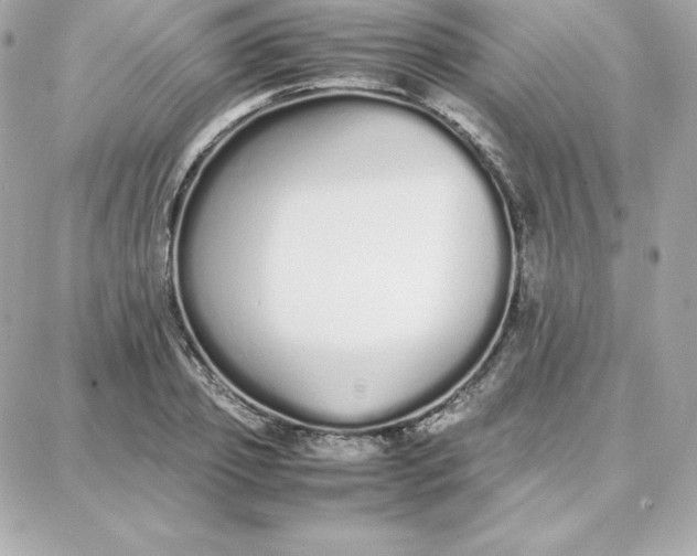 X0000087750933200705211034