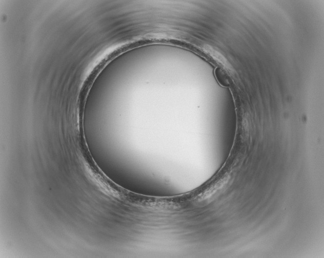 X0000087750934200705211034