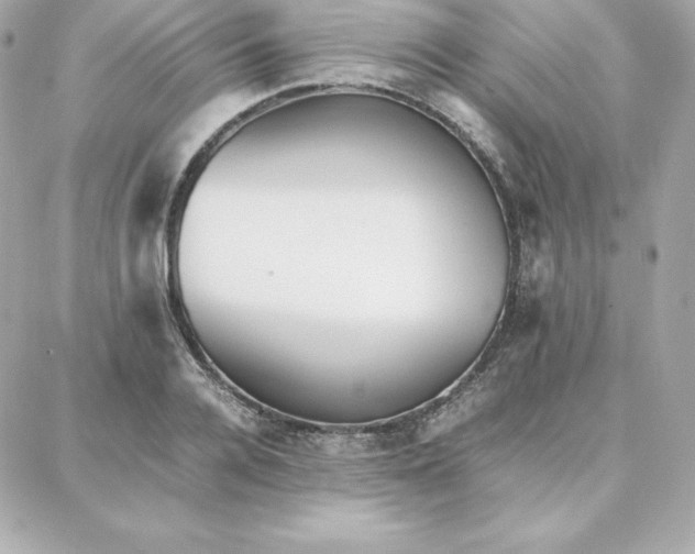 X0000087750936200705211034