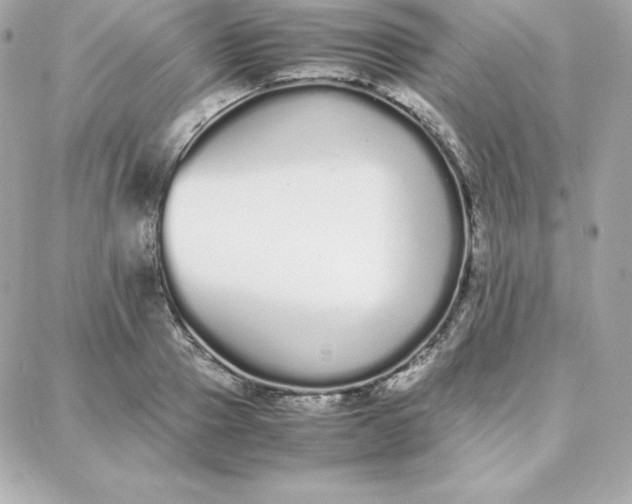 X0000087750937200705211034