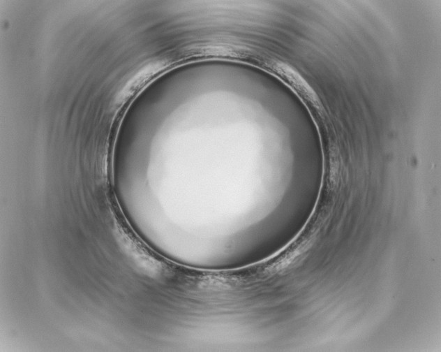 X0000087750938200705211034