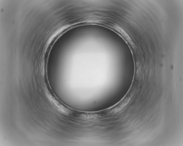 X0000087750939200705211034