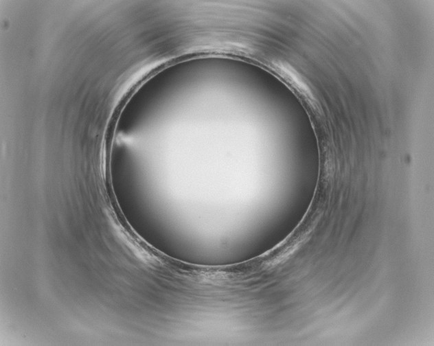 X0000087750940200705211034