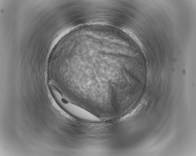 X0000087750941200705211034