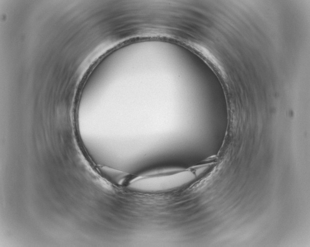 X0000087750943200705211034