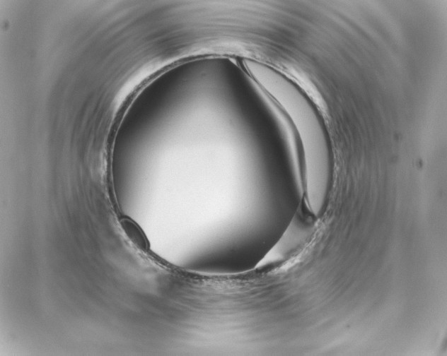 X0000087750944200705211034