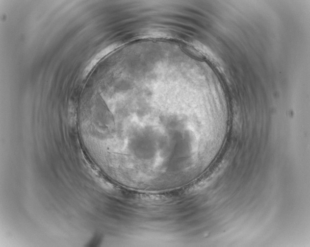 X0000087750945200705211034