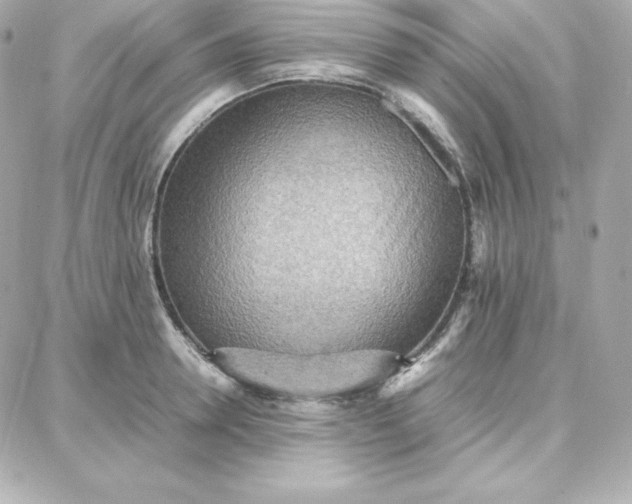 X0000087750946200705211034