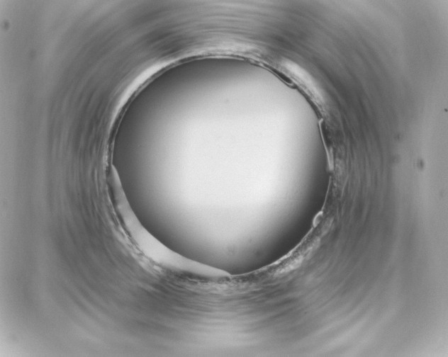 X0000087750948200705211034