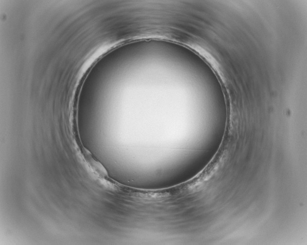 X0000087750949200705211034