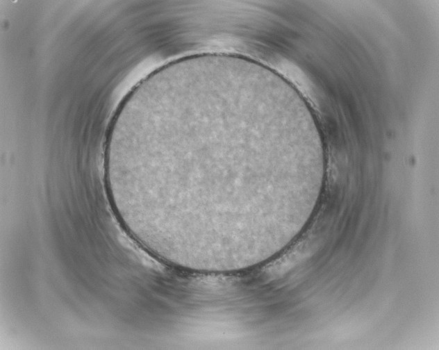 X0000087750950200705211034