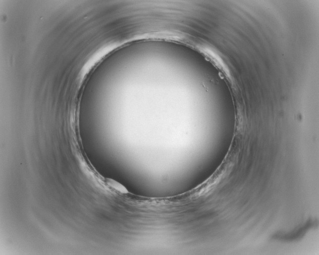 X0000087750952200705211034