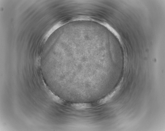 X0000087750953200705211034