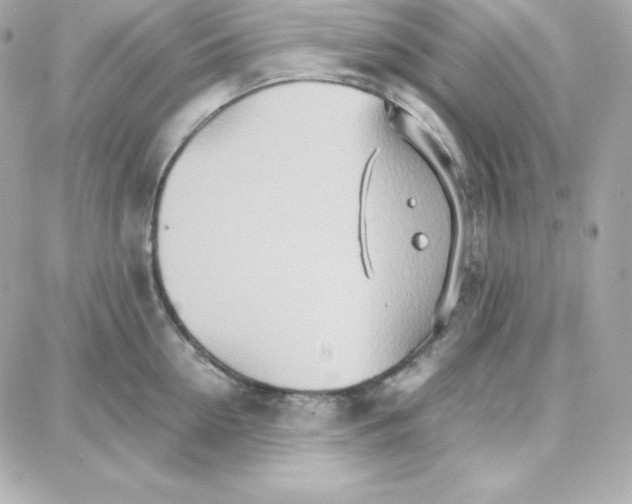 X0000087750954200705211034