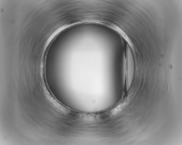 X0000087750955200705211034