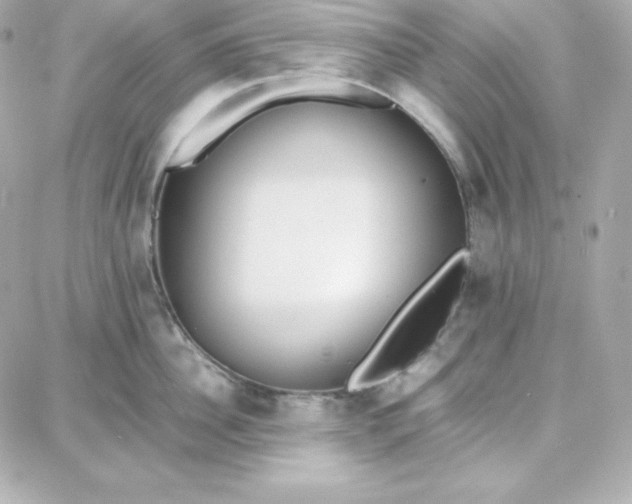 X0000087750956200705211034