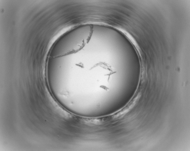 X0000087750957200705211034