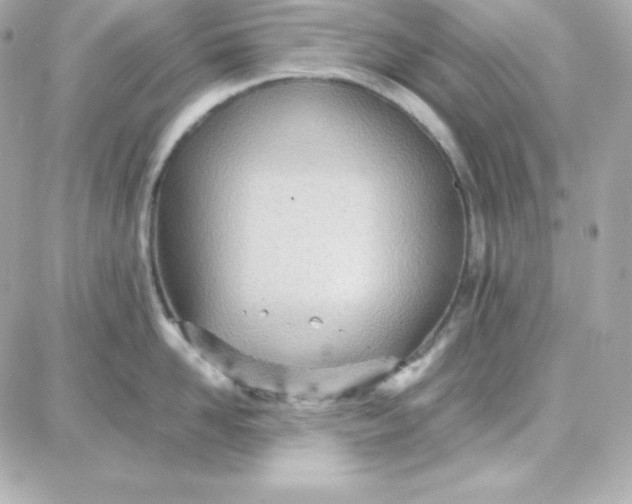 X0000087750958200705211034