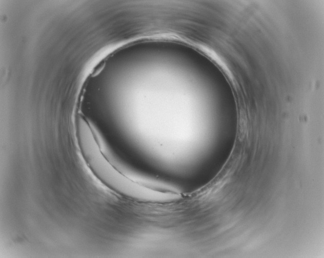 X0000087750959200705211034