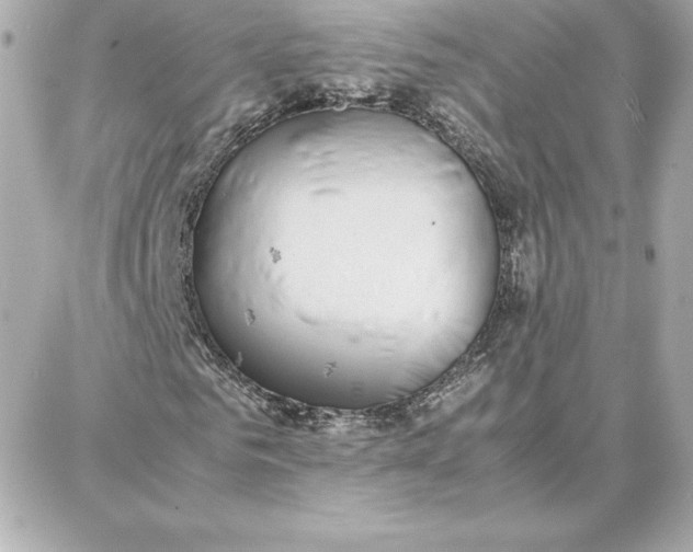 X0000087750961200705211033