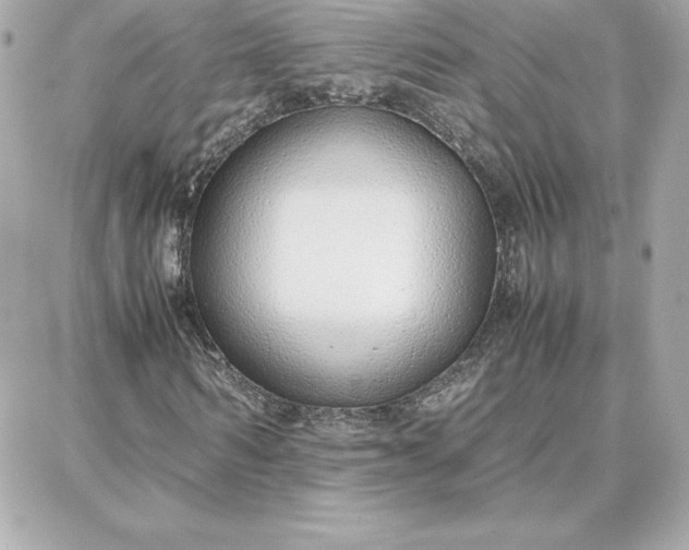 X0000087750962200705211033