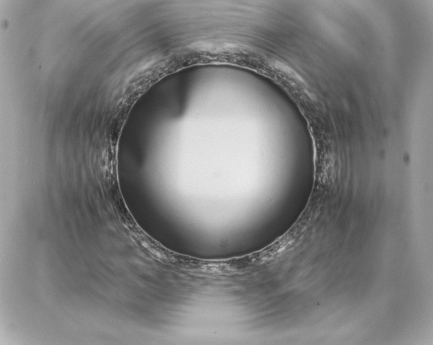 X0000087750966200705211033