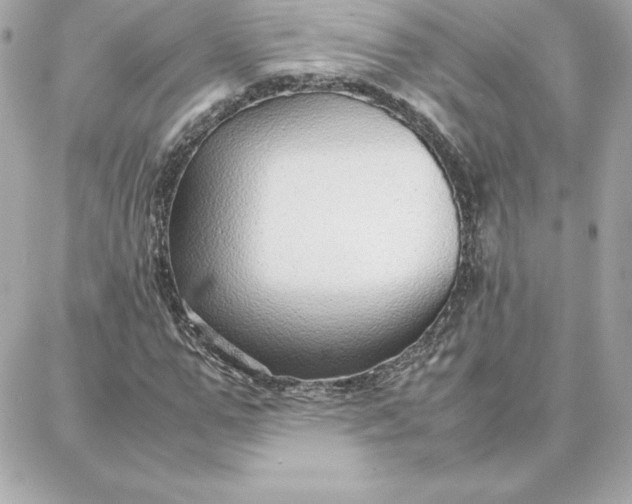 X0000087750967200705211033