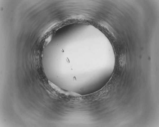 X0000087750968200705211033