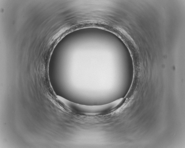 X0000087750969200705211033