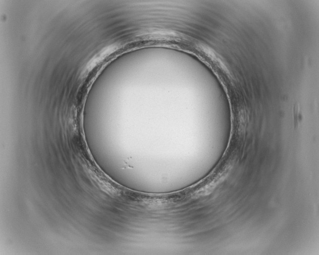 X0000087750970200705211033