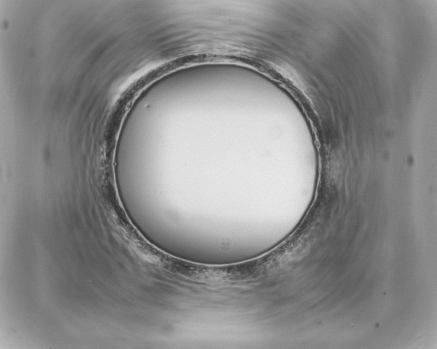 X0000087750971200705211033