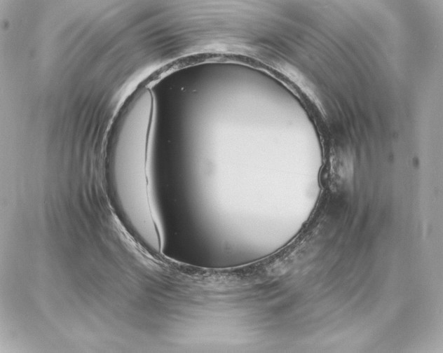 X0000087750972200705211033